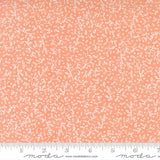 Dandi Duo Peach By Robin Pickens For Moda Fabrics
