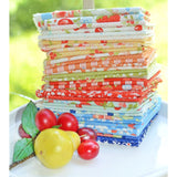 Fruit Cocktail Charm Pack by Fig Tree and Co. For Moda Fabrics